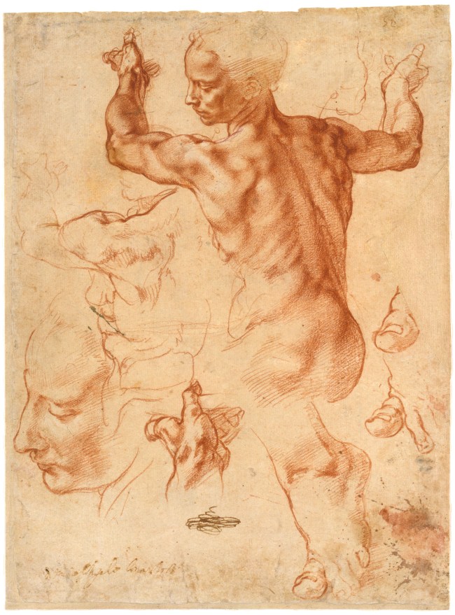 Michelangelo Buonarroti (Italian, 1475-1564) 'Studies for the Libyan Sibyl' (recto) 1511-1512 from the exhibition 'Michelangelo: The Drawings of a Genius' at Albertina, Vienna