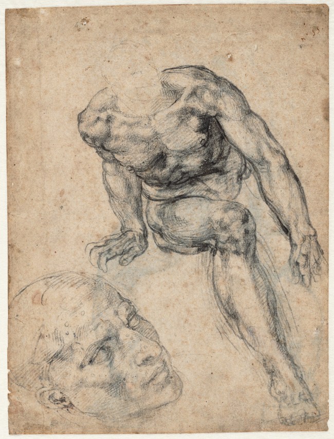 Michelangelo Buonarroti (Italian, 1475-1564) 'Study of a Male Nude, Separate Study of his Head' (recto) 1534-1536 v
