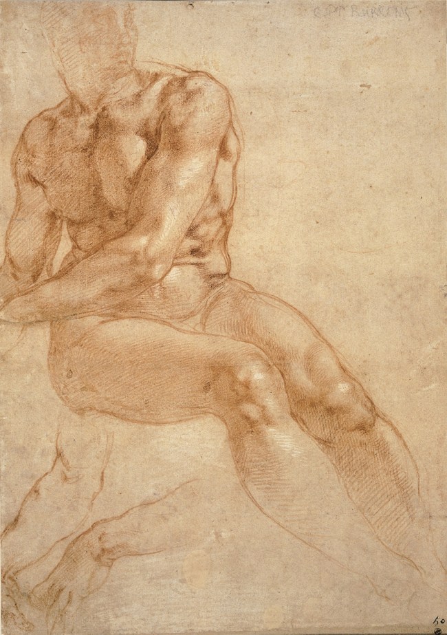 Michelangelo Buonarroti (Italian, 1475-1564) 'Study of a Seated Young Man and Two Studies of the Right Arm' (Recto), around 1511 from the exhibition 'Michelangelo: The Drawings of a Genius' at Albertina, Vienna