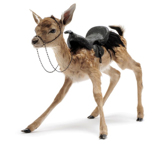 Julia deVille (Australian, b. 1982) 'Nevermore' 2010 from the exhibition 'Night's Plutonian Shore' by Julia deVille at Sophie Gannon Gallery, Richmond