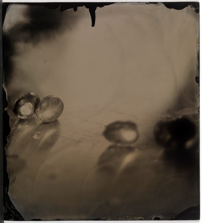 Sally Mann (American, b. 1951) 'Untitled (Still Life)' 2006 from the exhibition 'Sally Mann: The Flesh and the Spirit' at the Virginia Museum of Fine Arts