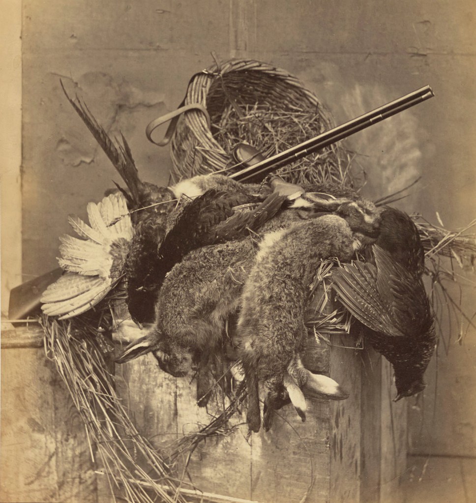 Roger Fenton (English, 1819-1869) '[Still Life with Game and Gun]' about 1859 from the exhibition 'In Focus: Still Life' at The J. Paul Getty Museum