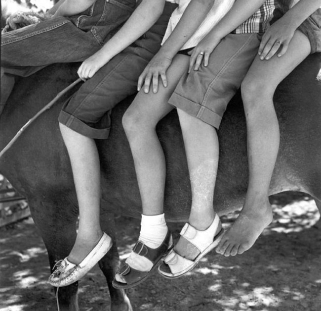 Dorothea Lange. 'Four Young Riders in Summer' 1953