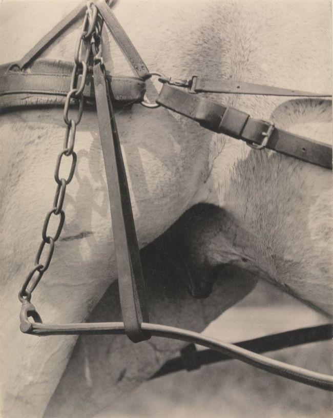 Alfred Stieglitz (American, 1864-1946) 'Spiritual America' 1923