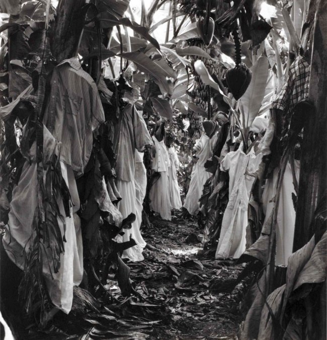 Simryn Gill (Singapore, Malaysia, Australia, b. 1959) 'Untitled' 1999 from the series 'Rampant'