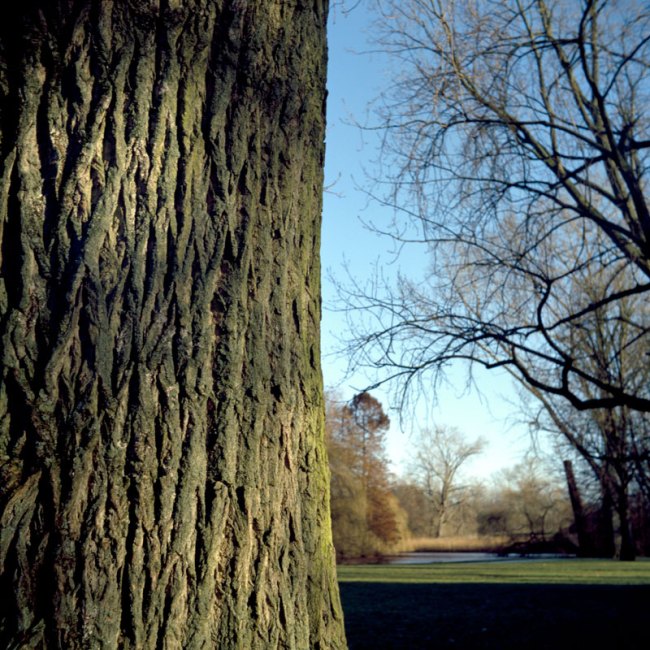 Vanila Netto (Brazil, b. 1963) 'Solaris' 2011