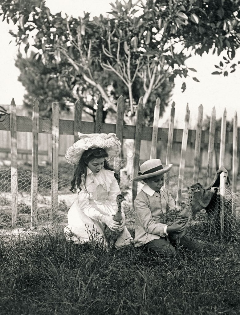 Arthur Wigram Allen (Australian, 1894-1967) 'Joyce and Denis at the ostrich farm' 15 November 1903