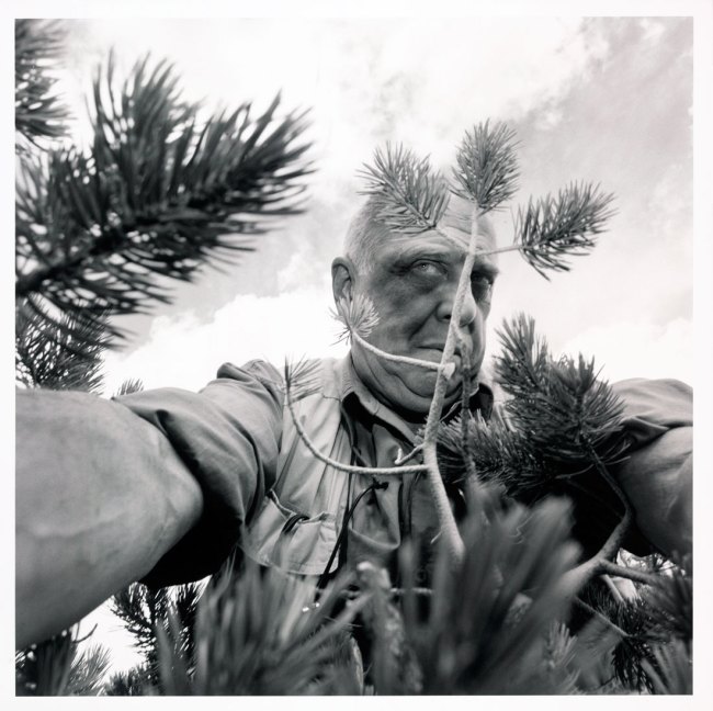 Lee Friedlander (American, b. 1934) 'California' 1997 