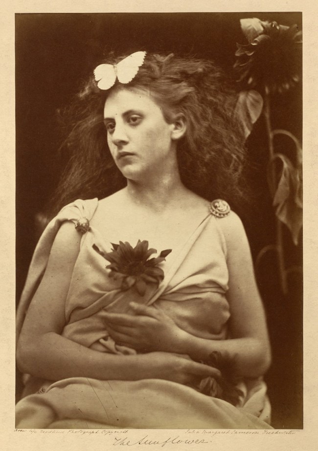 Julia Margaret Cameron (British, 1815-1879) 'The sunflower' 1866-1870