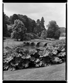 Marcus Bunyan. 'Bridge, Chatsworth House' 1993