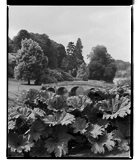 Marcus Bunyan. 'Landscape, Chatsworth House' 1993