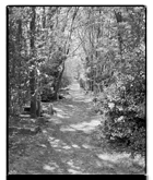 Marcus Bunyan. 'Death's pathway' 1993