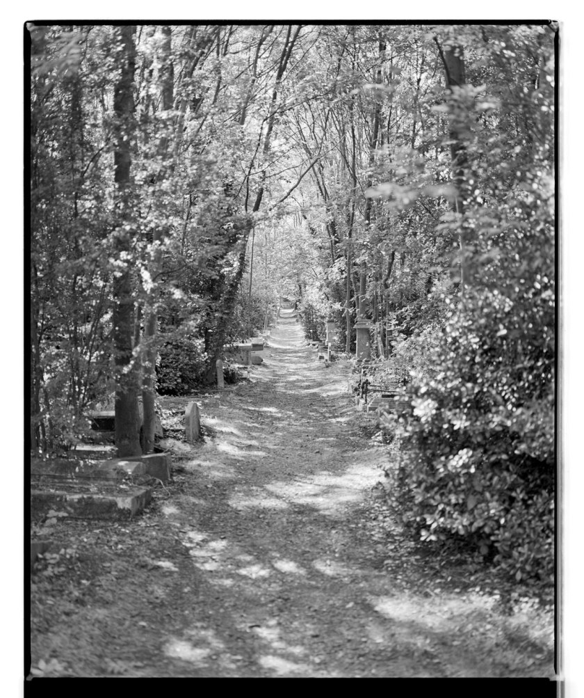 Marcus Bunyan. 'Death's pathway' 1993