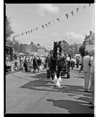 Marcus Bunyan. 'An English fair' 1993