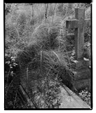 Marcus Bunyan. 'Esther' 1993