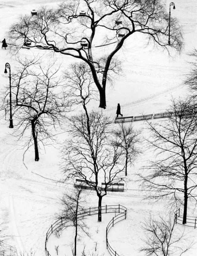 André Kertész.  'Washington Square' New York, January 9, 1954