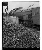 Marcus Bunyan. 'Untitled' from the series 'Études' 1994