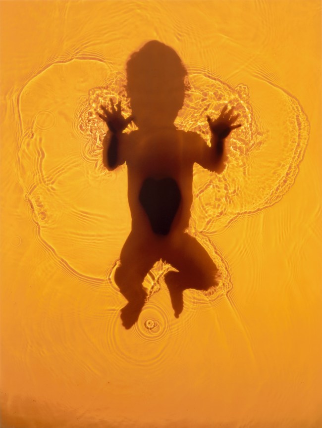 Adam Fuss (British, b. 1961) 'Invocation' 1992 Adam Fuss (British, b. 1961) 'Invocation' 1992