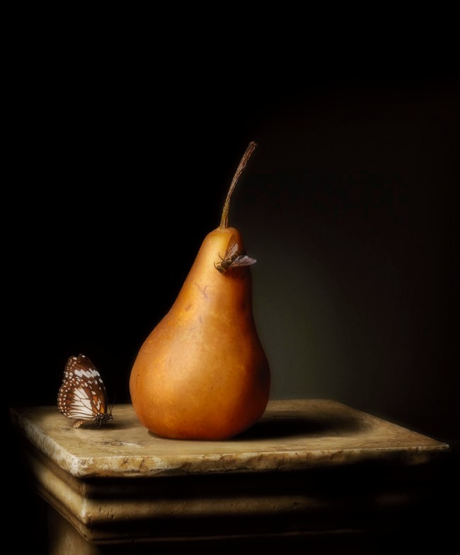 Robyn Stacey (Australian, b. 1952) 'Presentation (Pear)' 2011