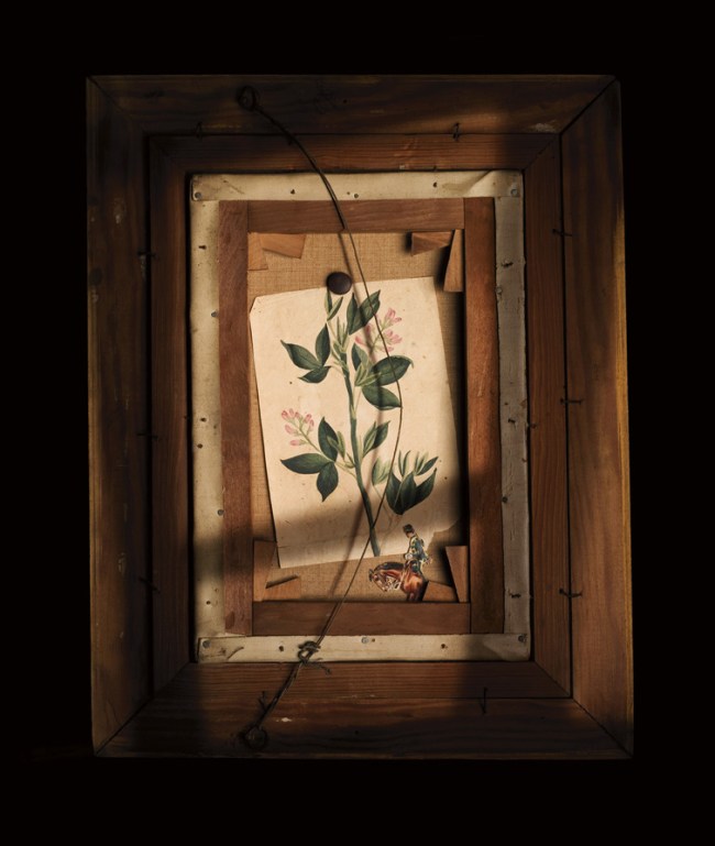 Robyn Stacey (Australian, b. 1952) 'The Royal Guard' 2011