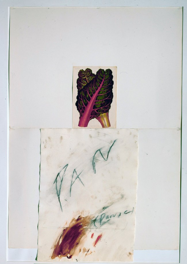 Cy Twombly (American, 1928-2011) 'Pan' 1975