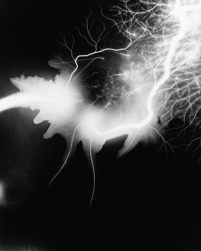 Hiroshi Sugimoto (Japanese, b. 1948) 'Lightning Fields 168' 2009