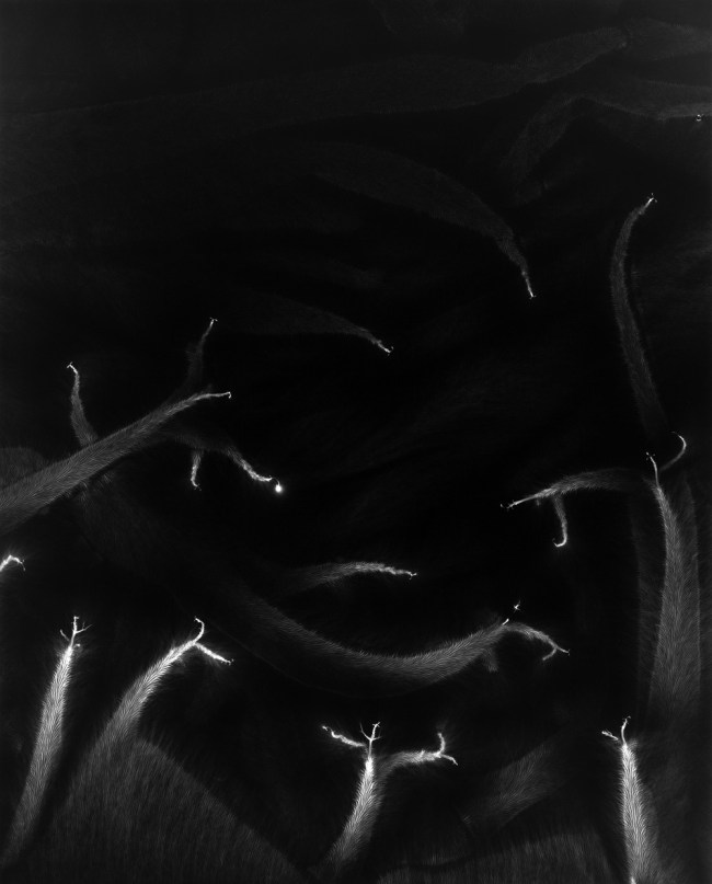 Hiroshi Sugimoto (Japanese, b. 1948) 'Lightning Fields 190' 2009