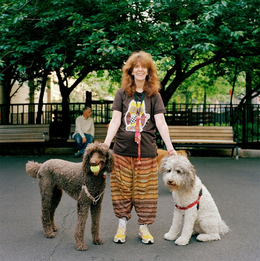 Selina Ou (Australian born Malaysia, b. 1977) 'Clementine, Liz and Billy Bob, Mercer-Houston Dog Run, Greenwich Village, New York' 2011
