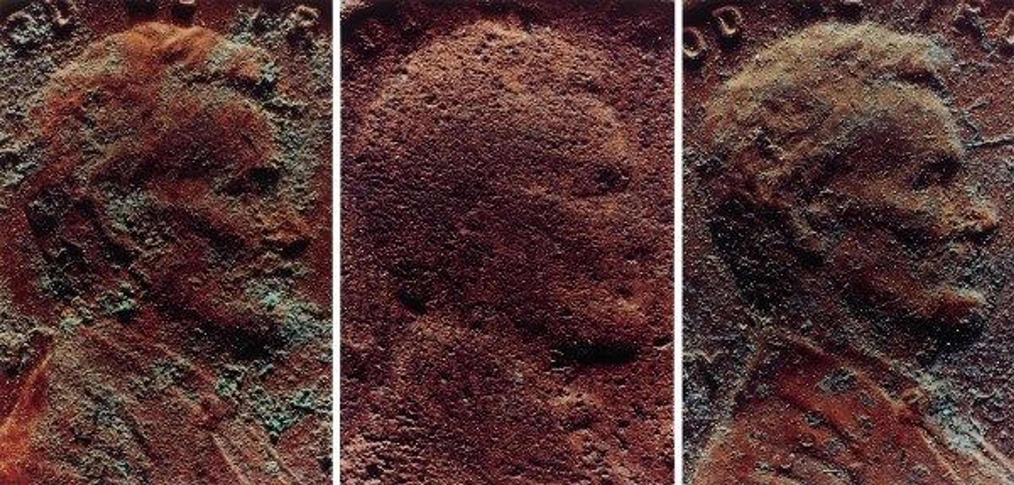 Moyra Davey (American born Canada, b. 1958) 'Copperhead Grid' 1990 (detail) Moyra Davey (American born Canada, b. 1958) 'Copperhead Grid' 1990 (detail)