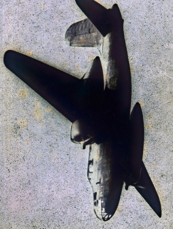 Marcus Bunyan (Australian, b. 1958) 'Untitled' from the series 'Vertical' 2011