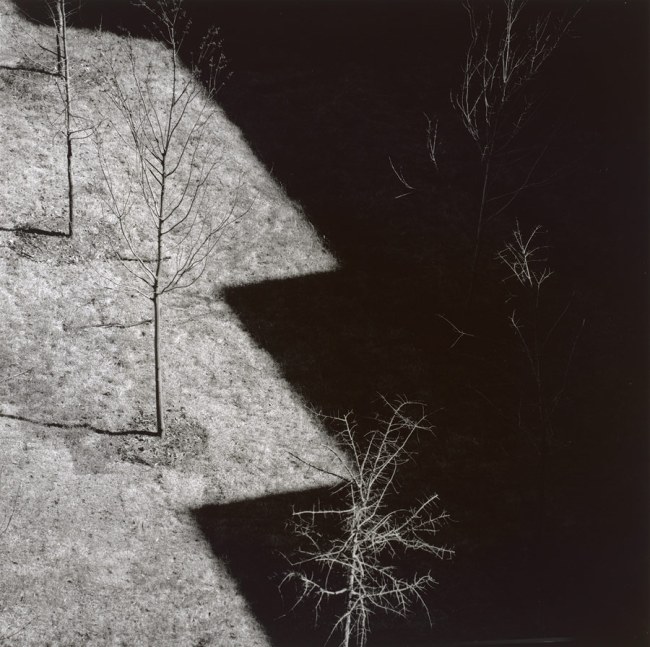 Harry Callahan (American, 1912-1999) 'Ansley Park, Atlanta' 1992 