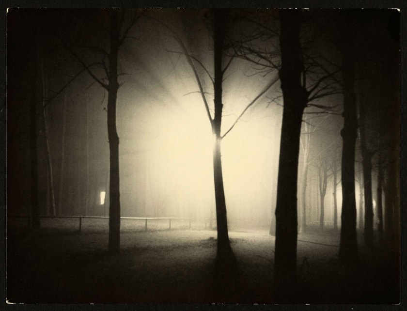Lyonel Feininger (American, 1871-1956) 'Untitled [Night View of Trees and Street Lamp, Burgkühnauer Allee, Dessau]' 1928