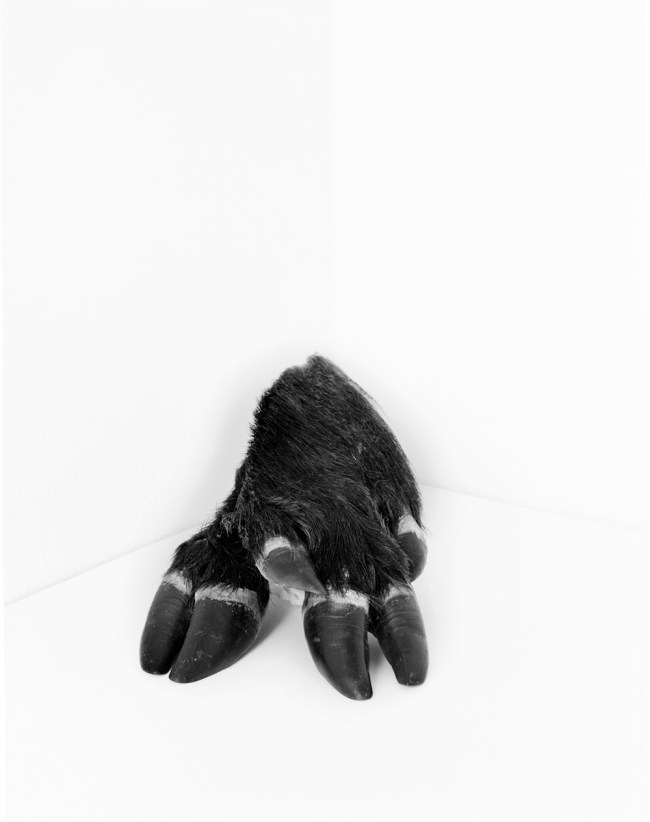 Tereza Zelenkova (Czech, b. 1985) 'Cadaver' 2011