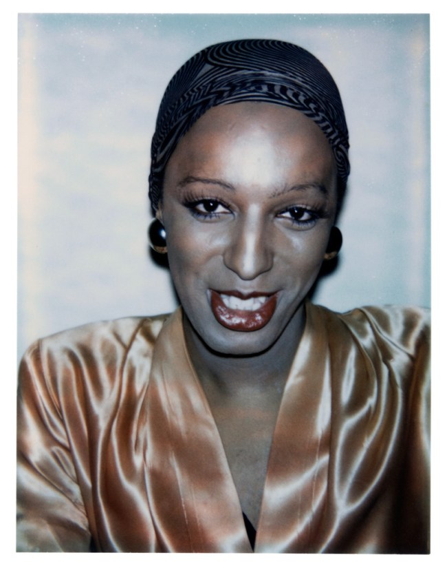 Andy Warhol (American, 1928-1987) 'Ladies and Gentlemen (Wilhelmina Ross)' 1974