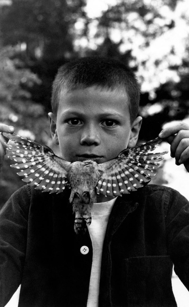 Jerry Uelsmann (American, 1934-2022) 'Bloomington, Indiana' 1958