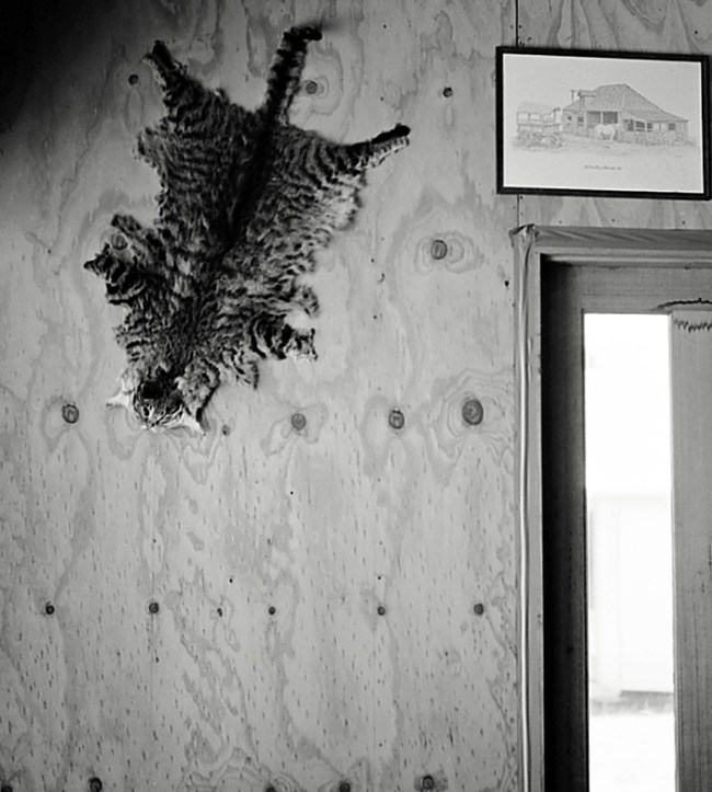 Jane Brown (Kuwait, Australia, b. 1967) 'Unheimlich, French Island, Victoria' 2010