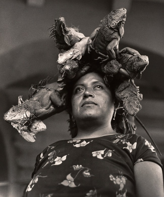 Graciela Iturbide (Mexican, b. 1942) 'La Nuestra Senora de las Iguanas, Juchitan, Oaxaca, Mexico' (Our Lady of the Iguanas, Juchitan, Oxaca, Mexico) 1979