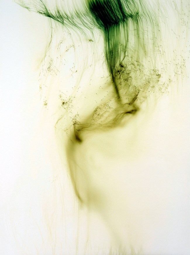 Wolfgang Tillmans (German, b. 1968) 'Freischwimmer 54' 2004