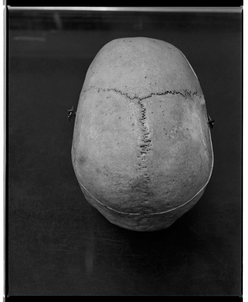 Marcus Bunyan. 'How will it be when you have changed' 1994