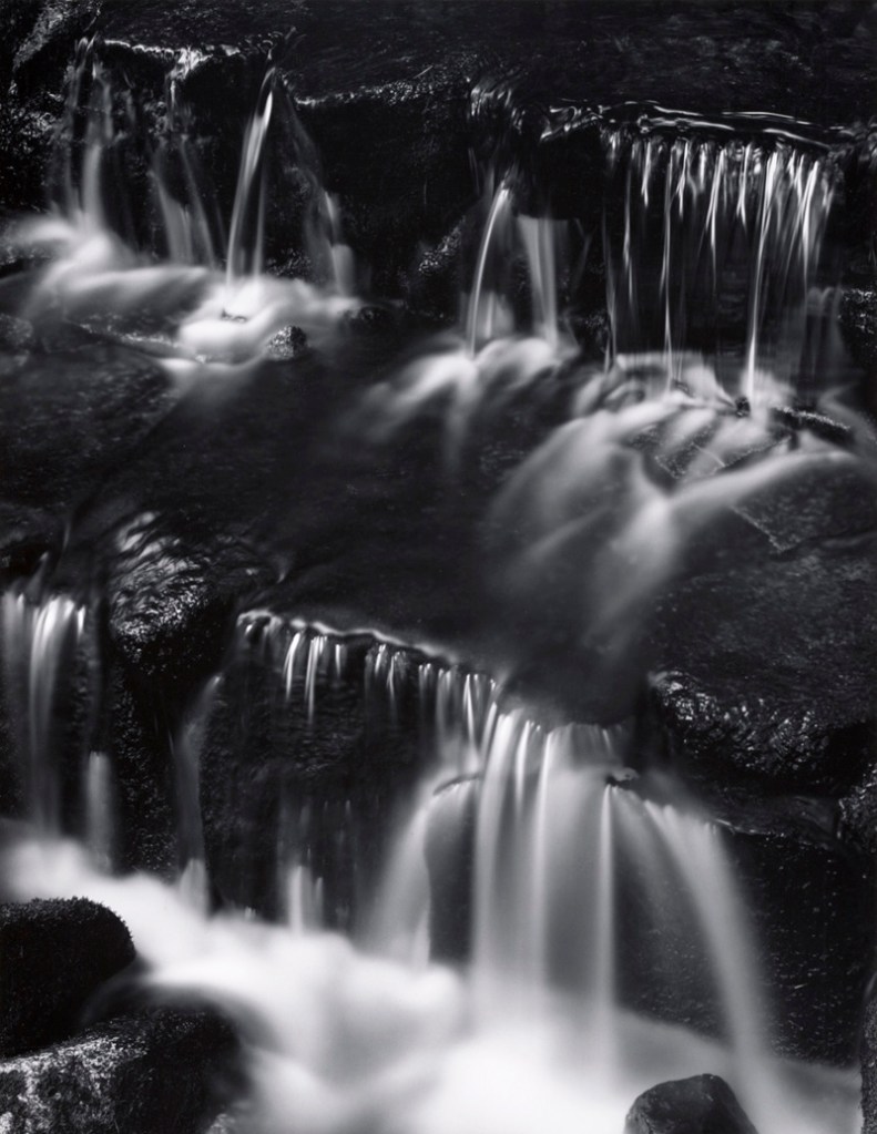 Ansel Adams (American, 1902-1984) 'Fern Spring, Dusk, Yosemite Valley' c. 1961