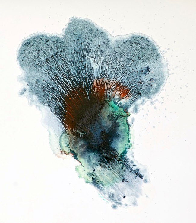 Jenny Reddin (Australian) 'Amillaria' 2012