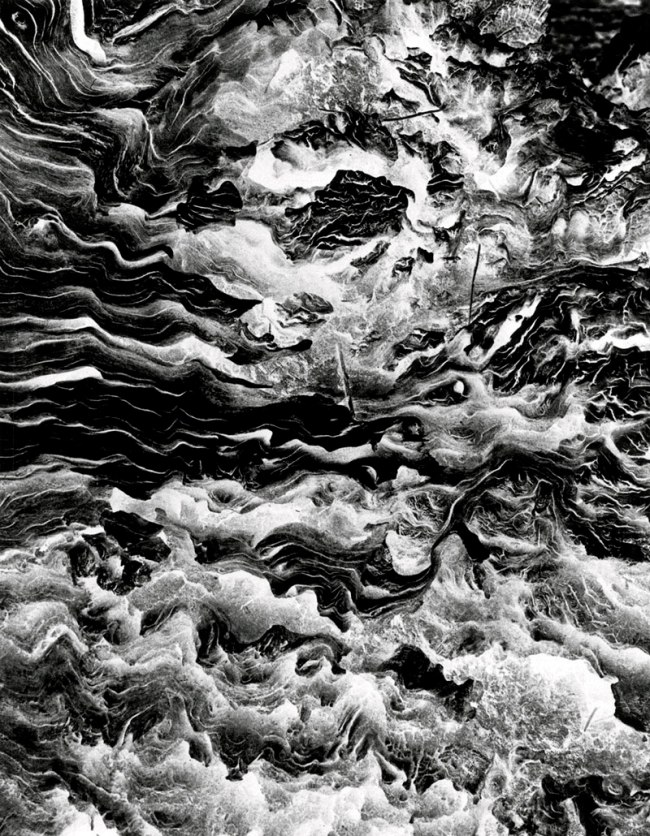 John Cato (Australian, 1926-2011) 'Tree – a journey' 1971-1979