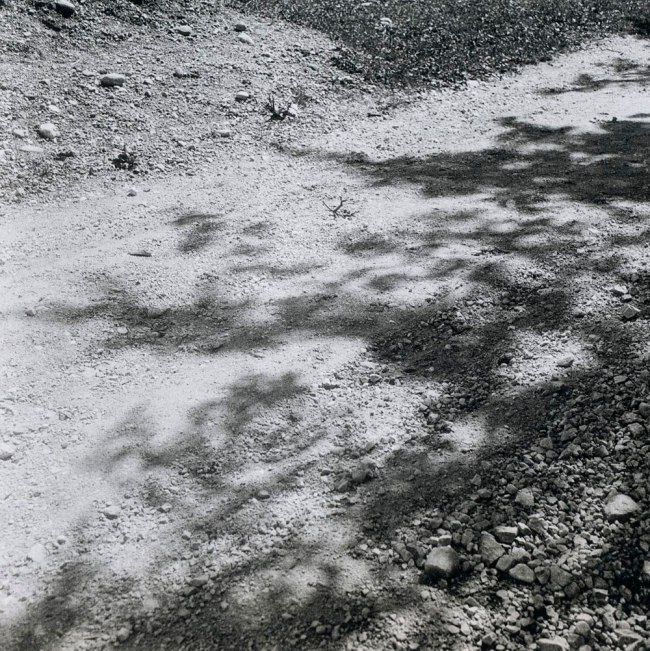 Eva Besnyö (Dutch-Hungarian, 1910-2003) 'Untitled [Shadow play]' Hungary 1931