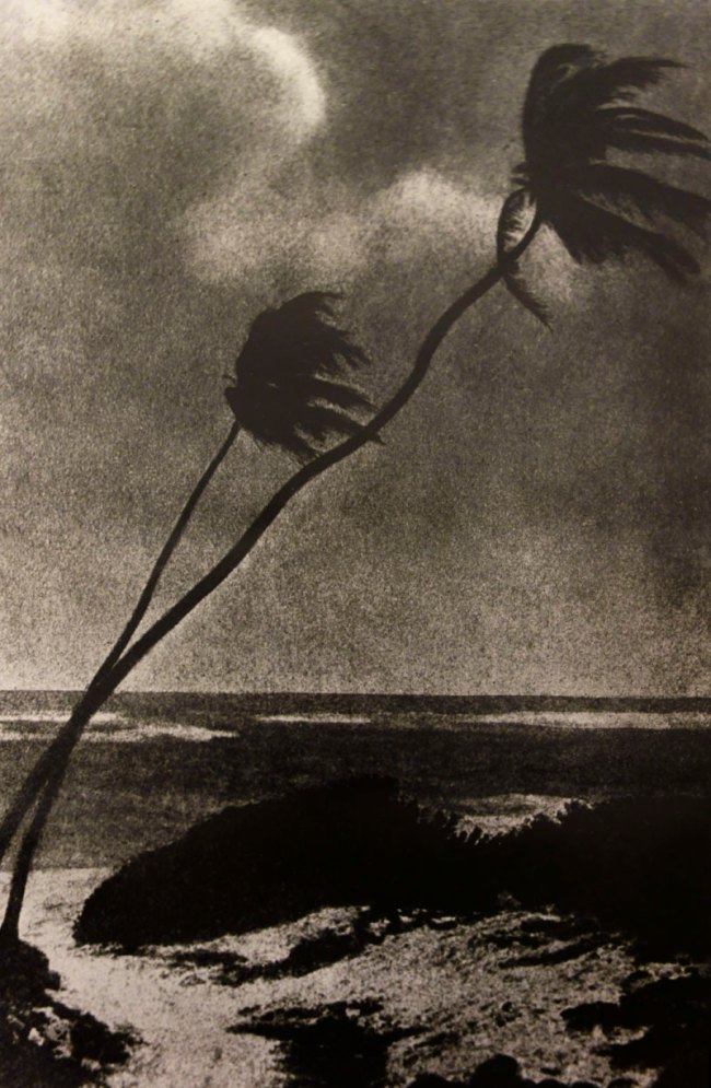 Pat Brassington (Australian, b. 1942) 'Untitled (triptych)' 1989 'Untitled (triptych)' 1989