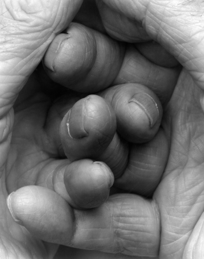 John Coplans (British, 1920-2003) 'Self Portrait Interlocking Fingers No 17' 2000