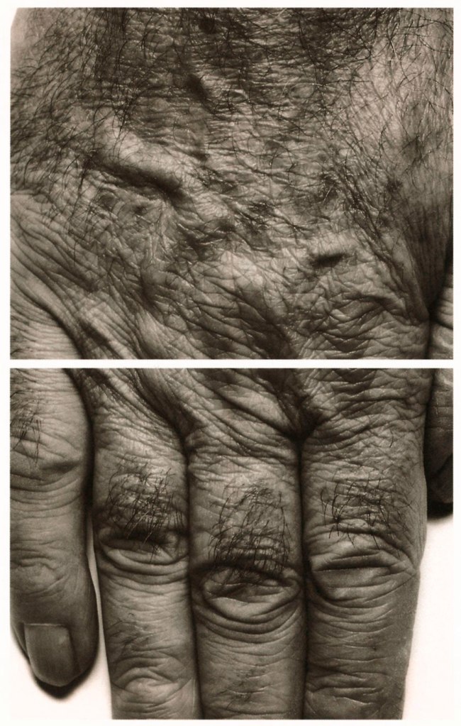 John Coplans (British, 1920-2003) 'Self Portrait (Hands)' 1988