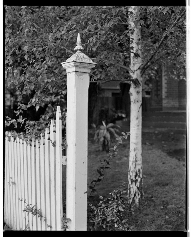Marcus Bunyan (Australian, b. 1958) 'Post with finial, tree' 1992-94