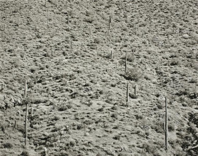 Frederick Sommer (American, 1905-1999) 'Arizona Landscape' 1943