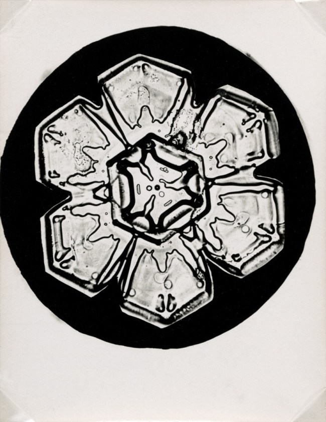 Wilson Alwyn Bentley (American, 1865-1931) 'Snowflakes' c. 1905 (detail)