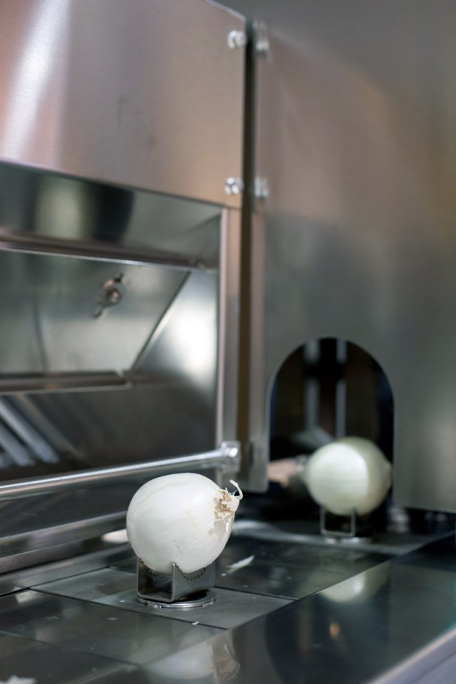 Wolfgang Tillmans (German, b. 1968) 'Onion' 2010 